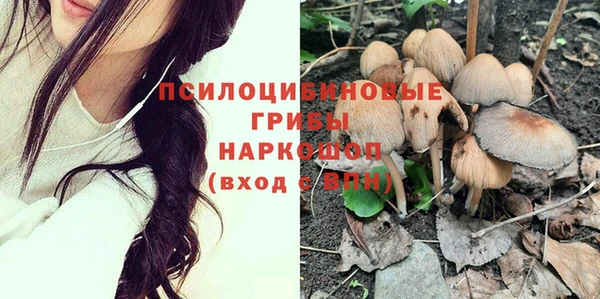 соль курить ск Горнозаводск