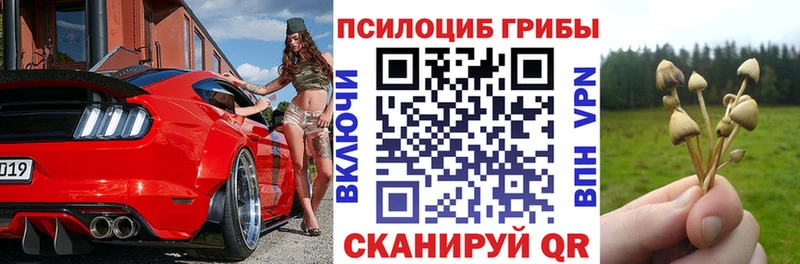 Галлюциногенные грибы Cubensis  нарко площадка формула  Нюрба  купить наркоту  OMG ССЫЛКА 
